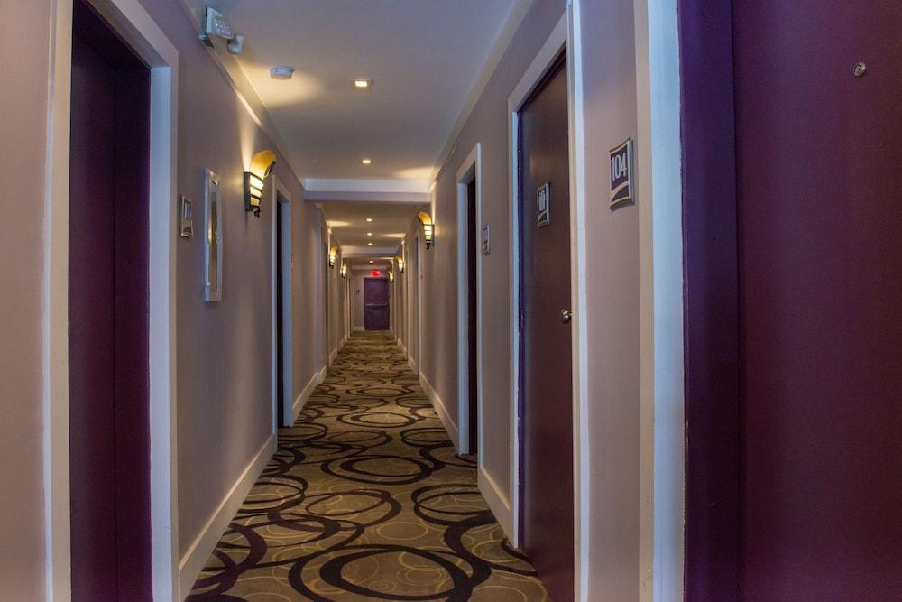 Shelley Hotel Μαϊάμι Μπιτς Εξωτερικό φωτογραφία